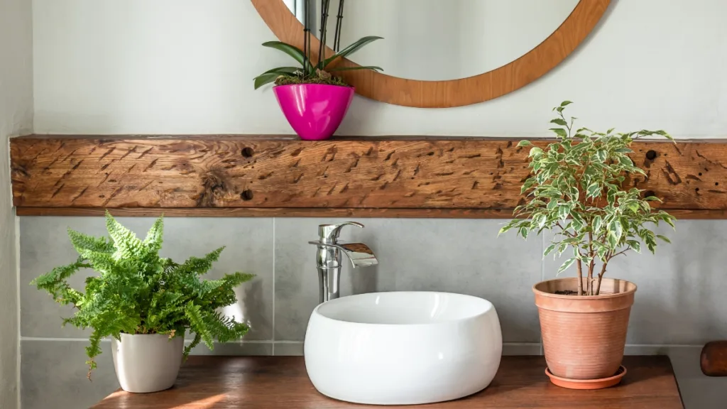 plantas para banheiro