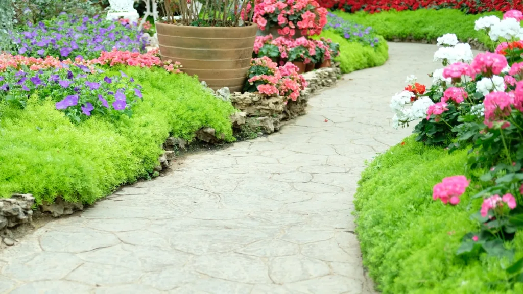 plantas para borda de pisos