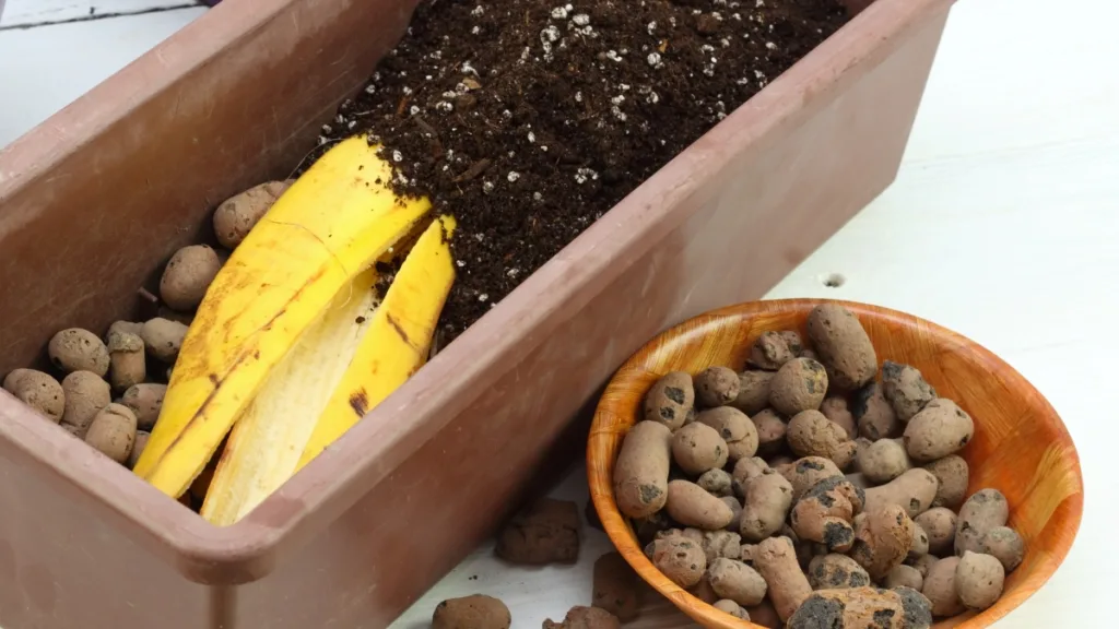 adubo casca de banana