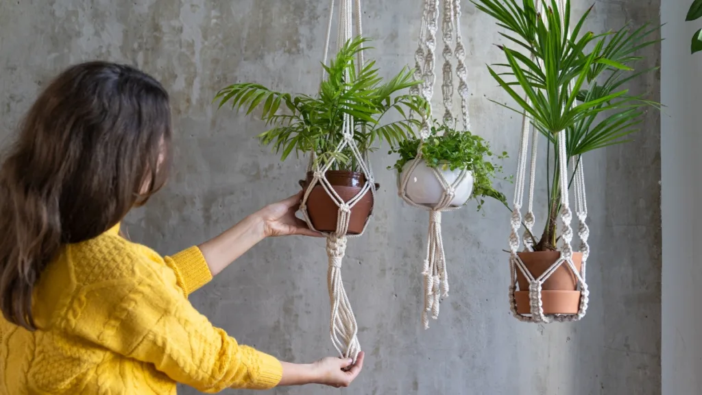 suporte para plantas suspensas