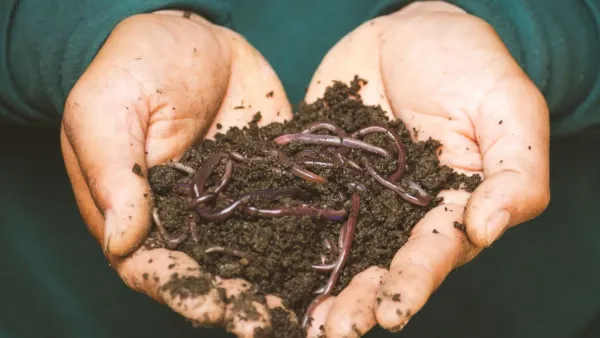 Close-up da terra escura e fofa de uma horta, com alguns pequenos grânulos visíveis, indicando boa qualidade e fertilidade.