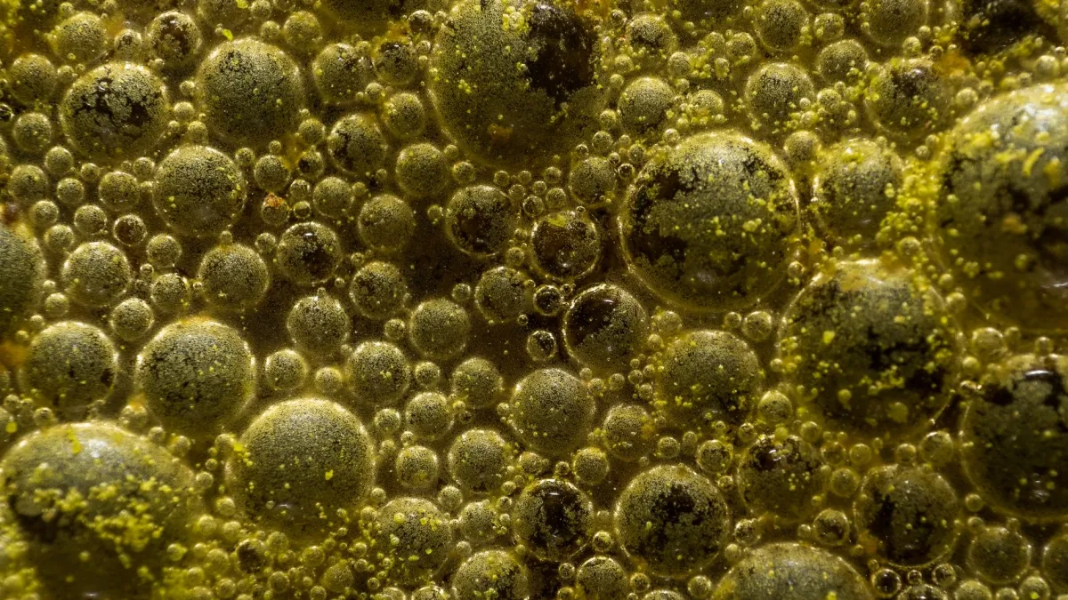 Close-up de bicarbonato de sódio e vinagre borbulhando nas grades do fogão.