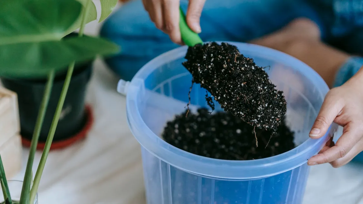 Close up de grânulos de fertilizante sobre o substrato em um vaso