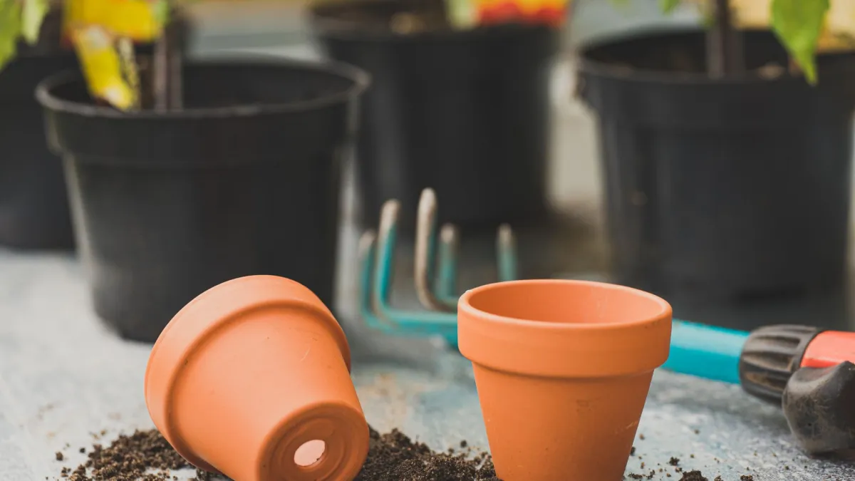 Diferentes tamanhos de vasos de barro para o cultivo de plantas