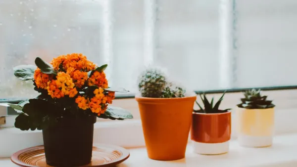 Janela de casa com vasos de flores coloridas bem iluminada pela luz natural