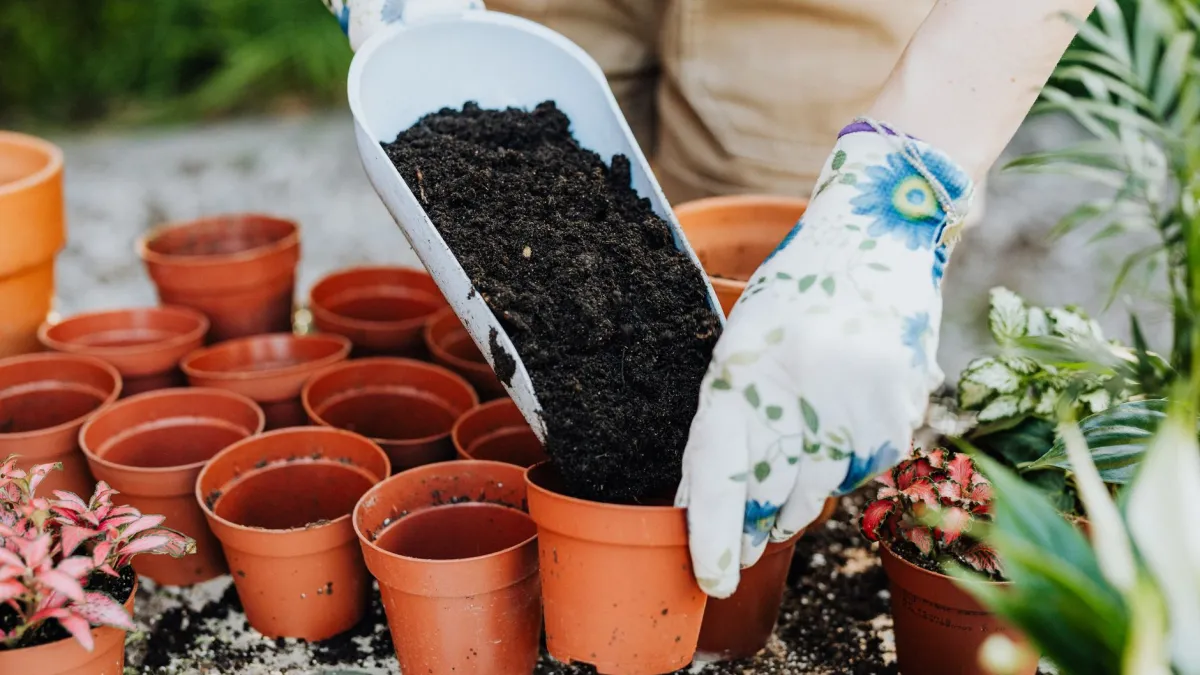 Jardineiro preparando o solo em um pequeno canteiro, adicionando composto orgânico para o plantio de flores.