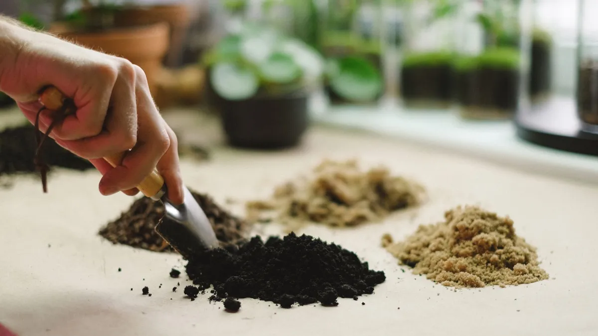 Mão adicionando composto orgânico ao solo de uma planta de alho-poró