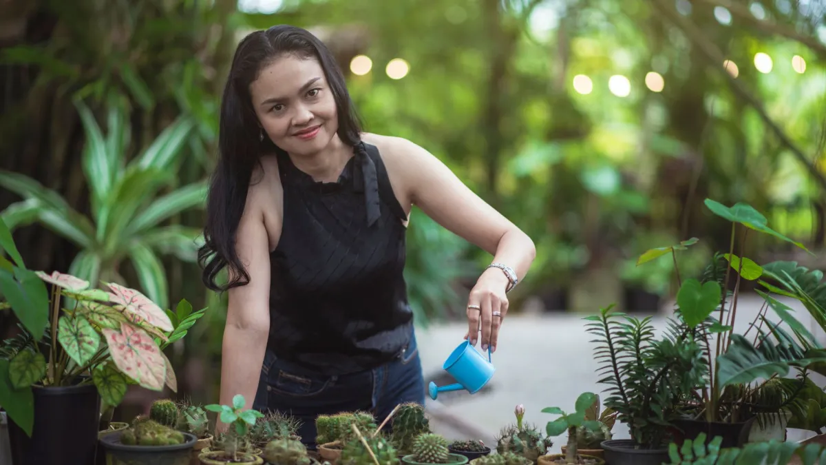 Mão feminina regando delicadamente uma planta de flor-de-maio em vaso, demonstrando o cuidado com a umidade do solo.