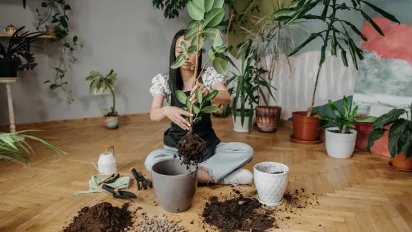 Mãos de uma pessoa trocando uma planta para um vaso maior com terra fresca