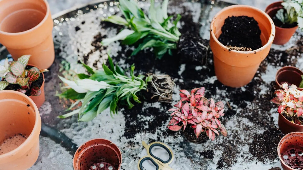 Mãos misturando terra com composto orgânico e areia para criar um substrato ideal para plantas.