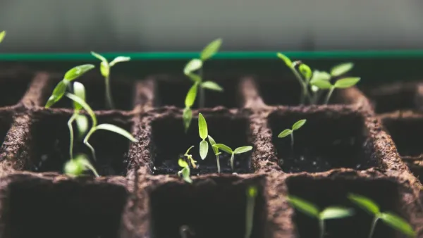 Mãos segurando um punhado de terra fértil com uma pequena muda de planta brotando.