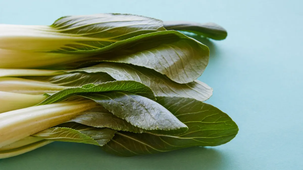 Muda de pak choi em um vaso sobre uma mesa de madeira, pronta para ser plantada.