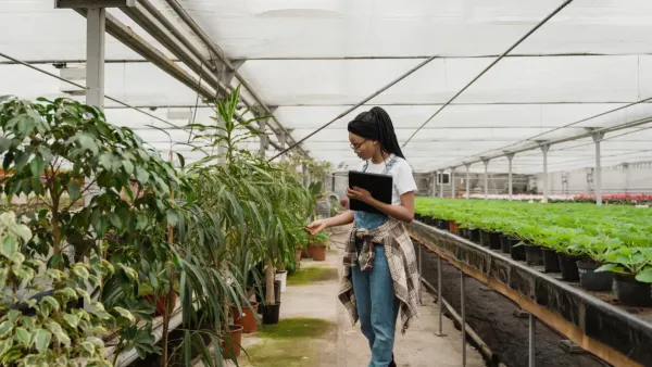 Mulher inspecionando plantas de casa após retornar de uma viagem, observando as folhas e o solo