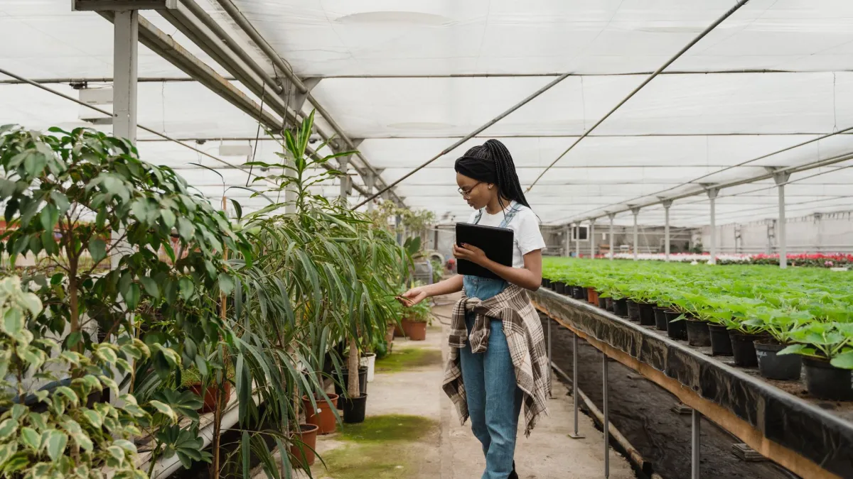 Mulher inspecionando plantas de casa após retornar de uma viagem, observando as folhas e o solo