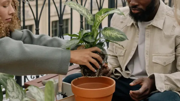Mulher movendo cuidadosamente um vaso de planta para um local ensolarado na varanda
