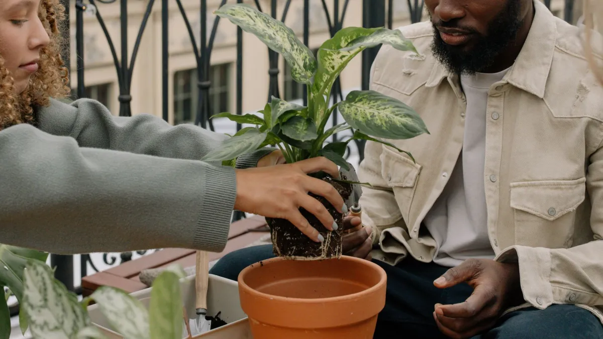 Mulher movendo cuidadosamente um vaso de planta para um local ensolarado na varanda