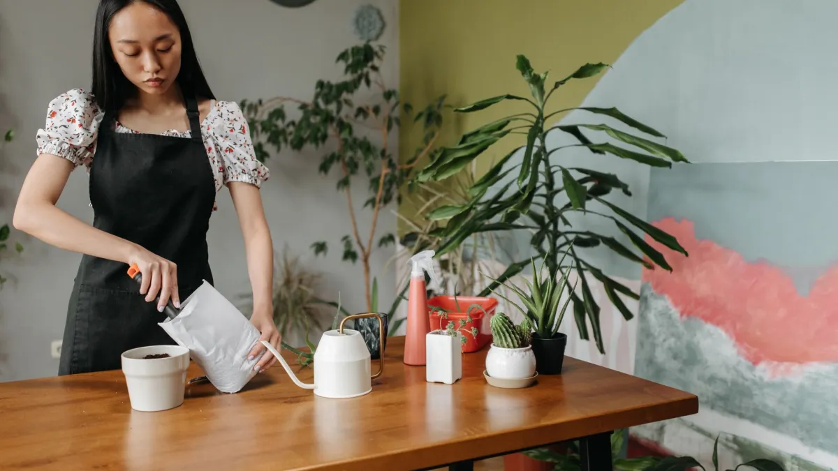 Mulher regando cuidadosamente uma zínia florida em vaso, garantindo que a água atinja a base da planta.