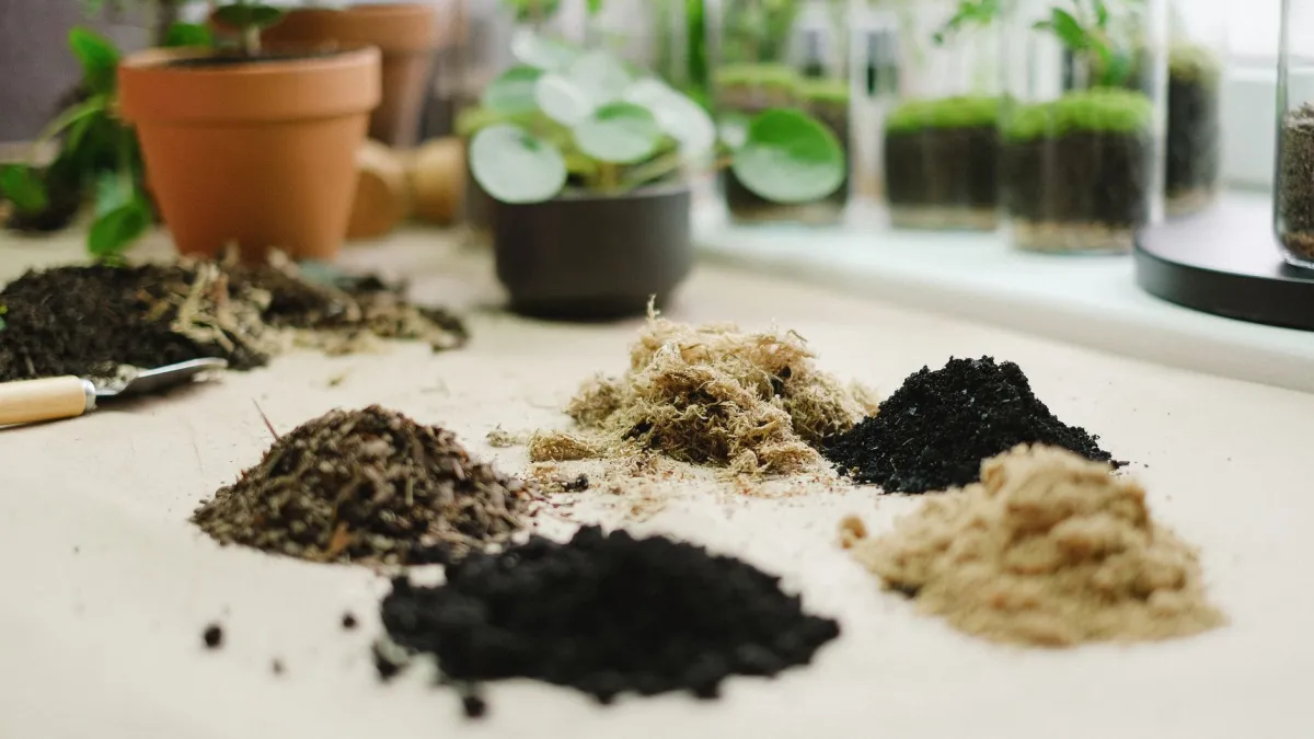 Pequenos mosquitos voando sobre a terra de um vaso de planta.