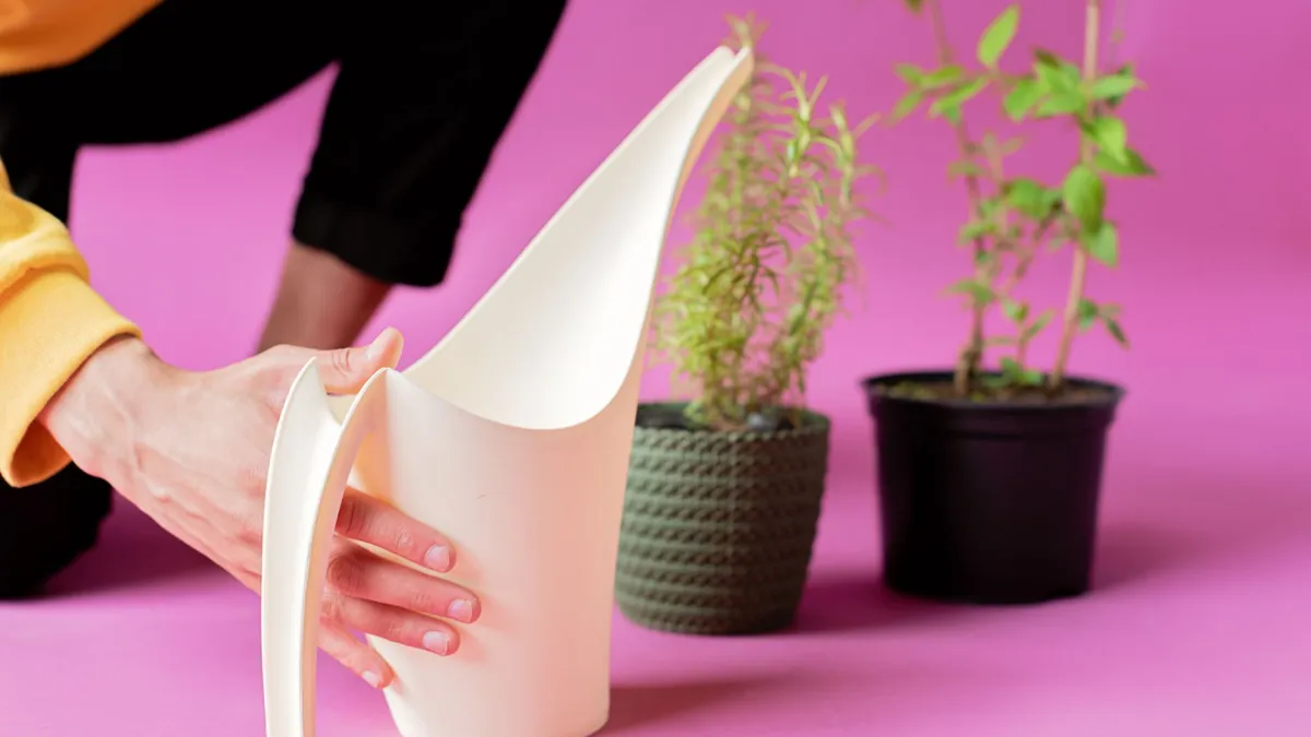 Pessoa regando um vaso de alecrim, com a água escoando pelos furos de drenagem.