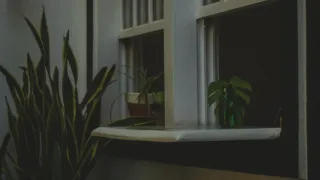 Planta de interior vibrante e saudável posicionada perto de uma janela com luz natural brilhante filtrada.