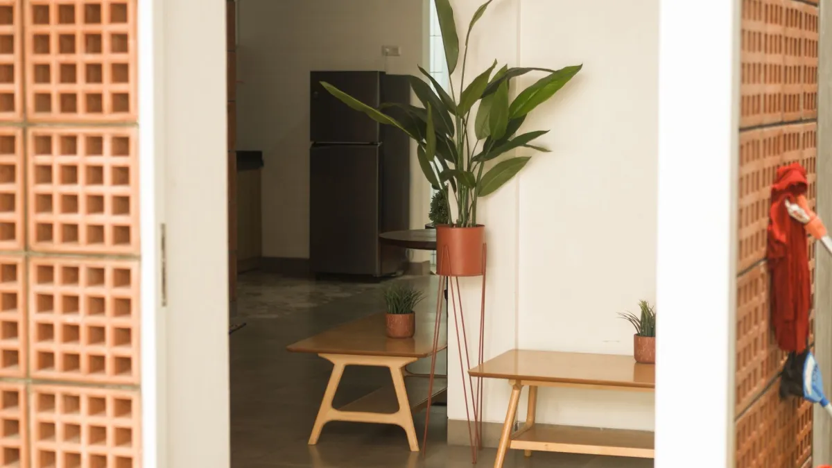 Planta verde em vaso de plástico preto em uma sala de estar minimalista