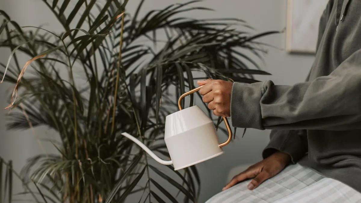 Regador molhando delicadamente uma planta de cebolinha em vaso em uma varanda