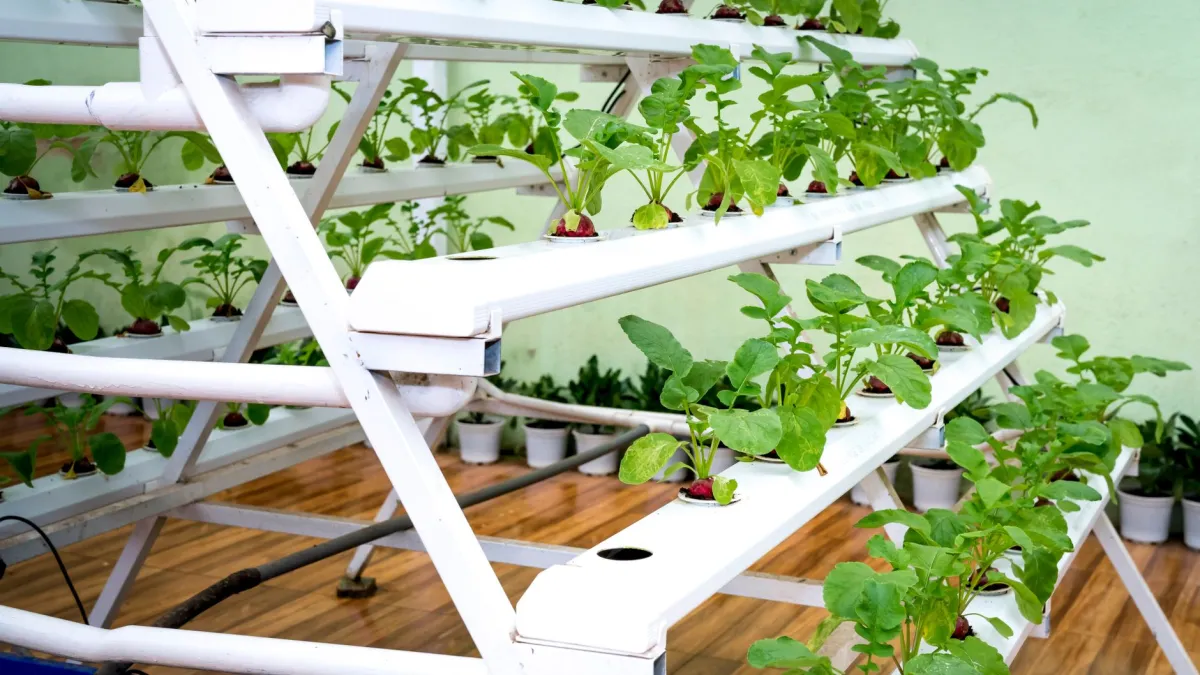 Sistema de horta vertical com alfaces e temperos em um pequeno pátio, otimizando o espaço.
