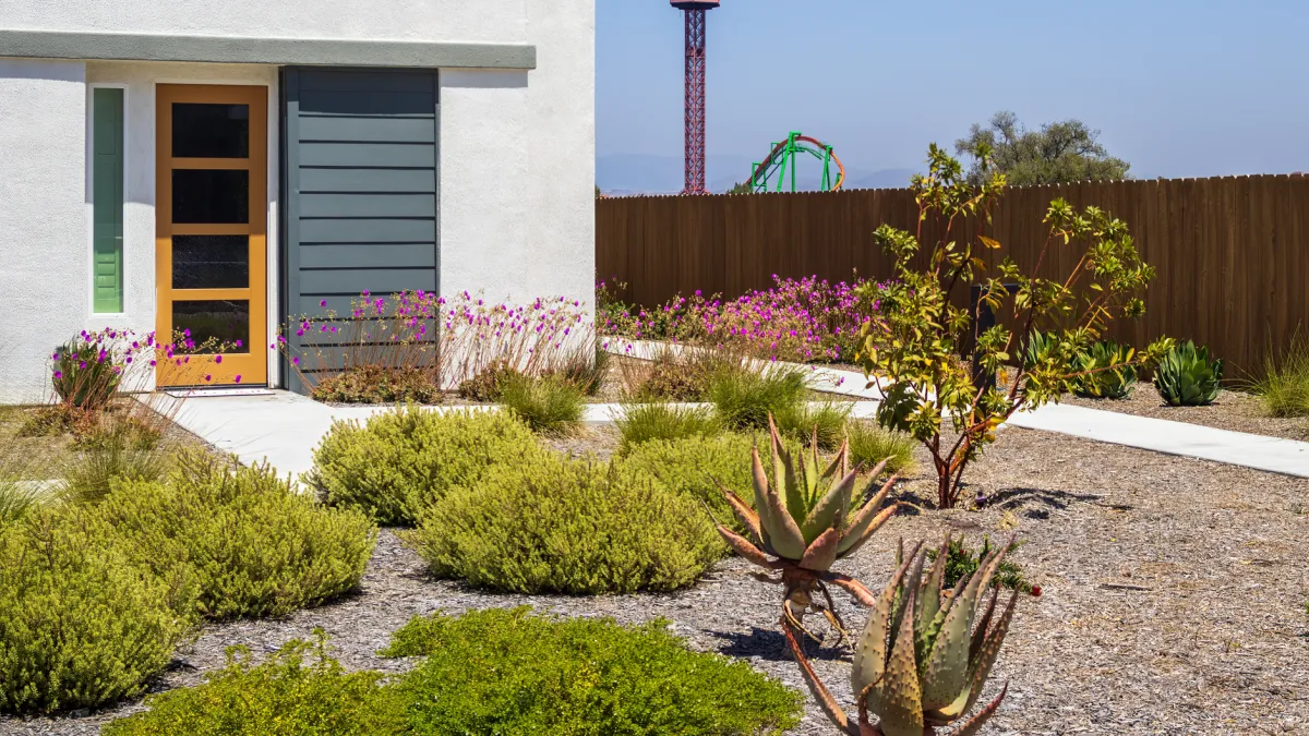 Um jardim vibrante com diversas flores de baixa manutenção em plena floração, com cores vivas.
