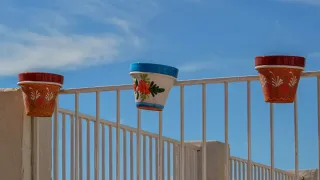 Vaso de cravos vermelhos em uma varanda ensolarada