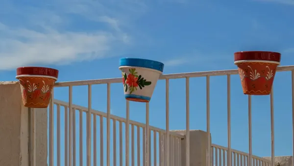 Vaso de cravos vermelhos em uma varanda ensolarada